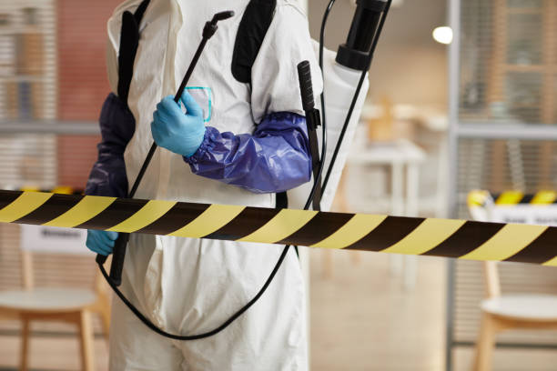 Professional Sewage Cleanup technician working in Salisbury, MD